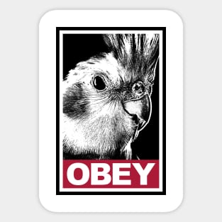 Obey the Cockatiel Parrot Sticker
